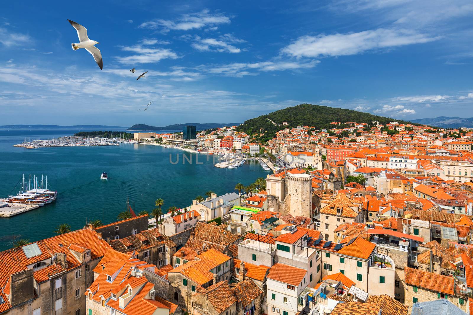 Split waterfront and Marjan hill aerial view, Dalmatia, Croatia. Panoramic summer cityscape of old medieval city Split, Croatia, Europe.  Traveling concept background. Seagull's flying over Split.