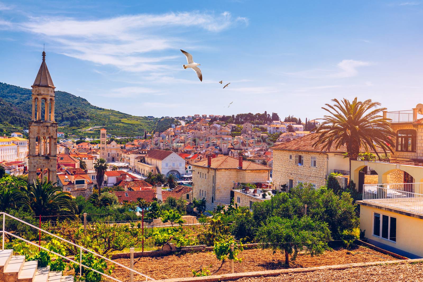 View at amazing archipelago in front of town Hvar, Croatia with seagull's flying over the city. Harbor of old Adriatic island town Hvar. Amazing Hvar city on Hvar island, Croatia. 