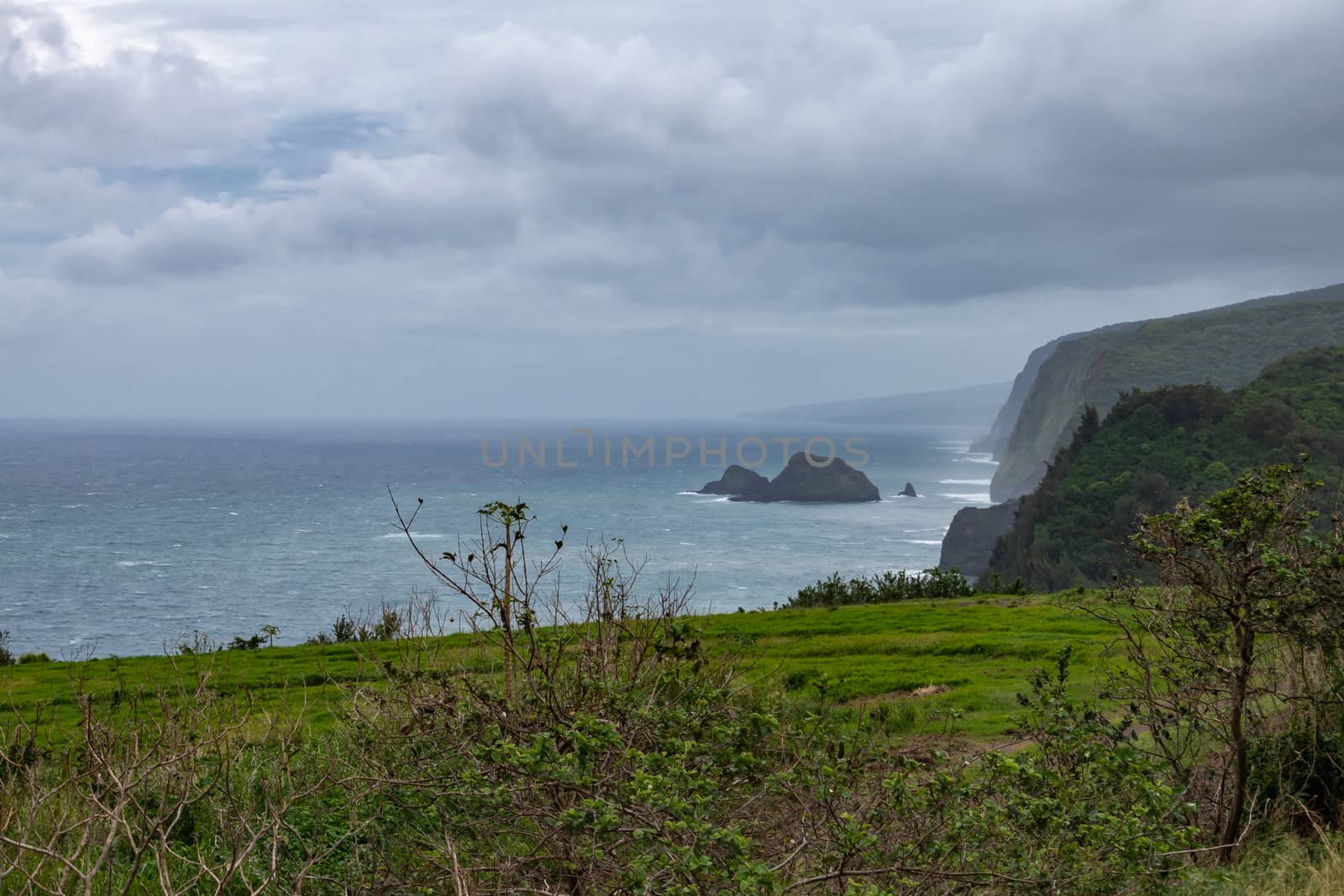 Ocean coastline at end of Pololu valley, Kohala, Hawaii, USA. by Claudine