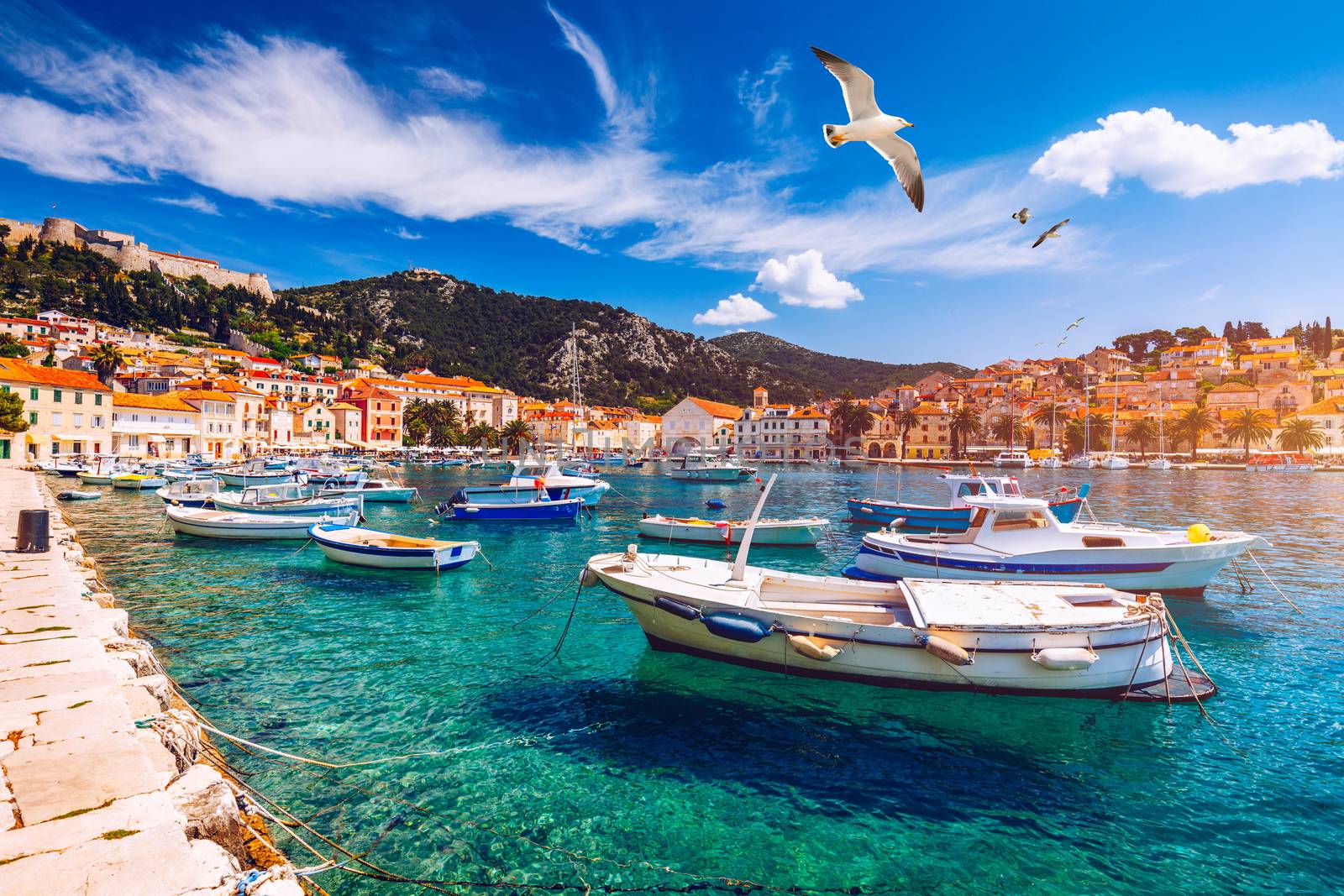 Hvar town with seagull's flying over city, famous luxury travel destination in Croatia. Boats on Hvar island, one of the many Islands near Dubrovnik and Korcula on the Dalmatian Coast of Croatia.