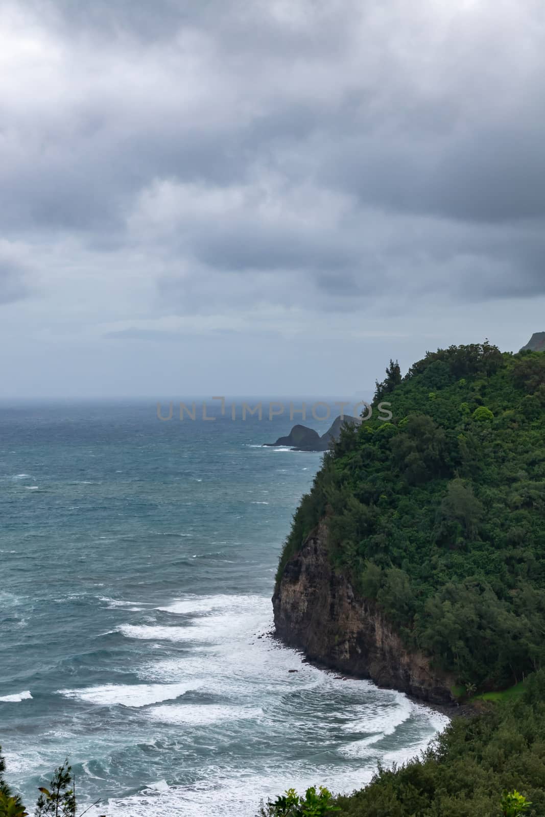Kohala, Hawaii, USA. - January 15, 2020: Portrait of Coastline where Pololu valley and its beach meets the ocean. Big rocks, tall steep cliffs, green forests under heavy blueish cloudscape.