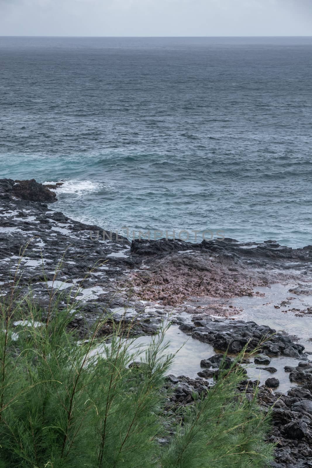 Spot of the Spouting Horn in Koloa, Kauai, Hawaii, USA. by Claudine