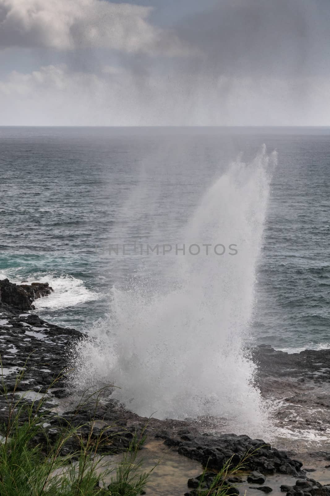 High and wide Eruption of the Spouting Horn in Koloa, Kauai, Haw by Claudine