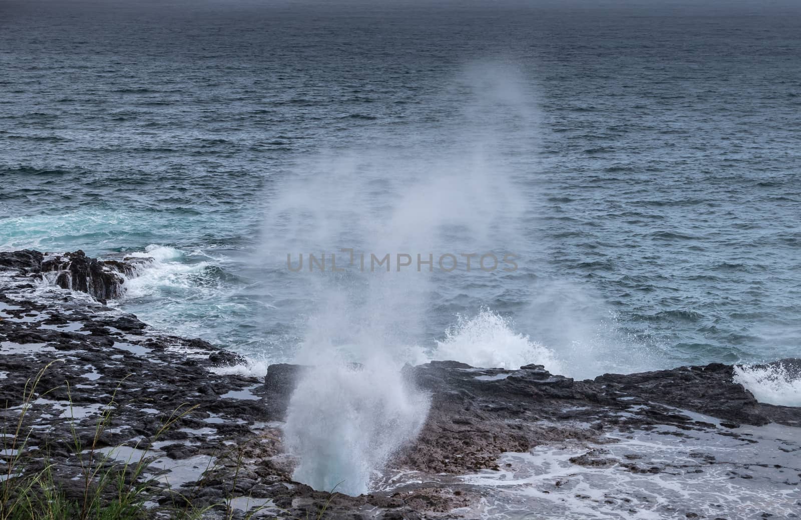 Koloa, Kauai, Hawaii, USA. - January 16, 2020: Gray-azure Pacific Ocean with black rocky coastline shows eruption of the Spouting Horn geiser. Landscape photo.