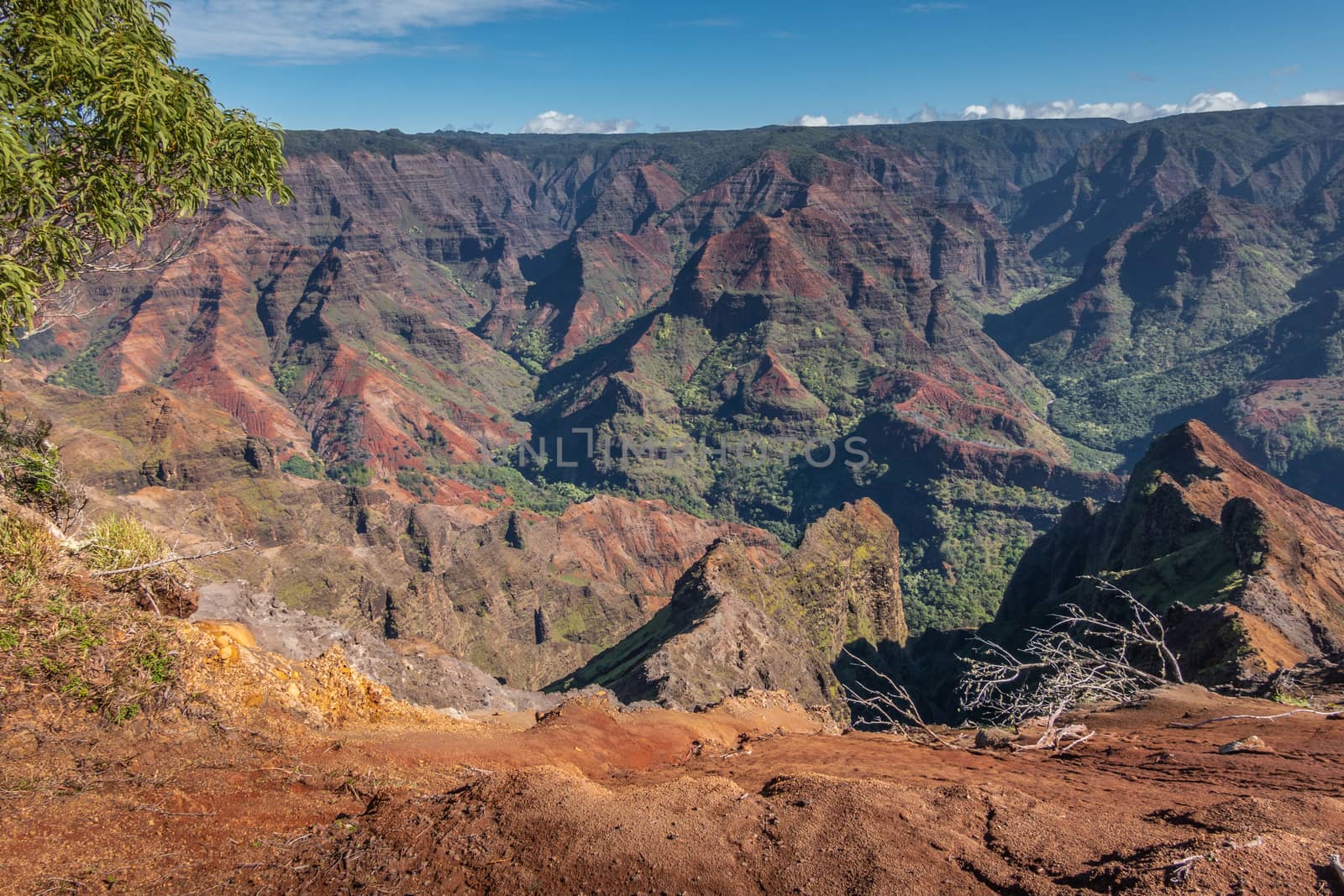 Waimea Canyon, Kauai, Hawaii, USA. - January 16, 2020: Landscape of green covered opposing side of canyon with blue sky above. some green vegetation up front.