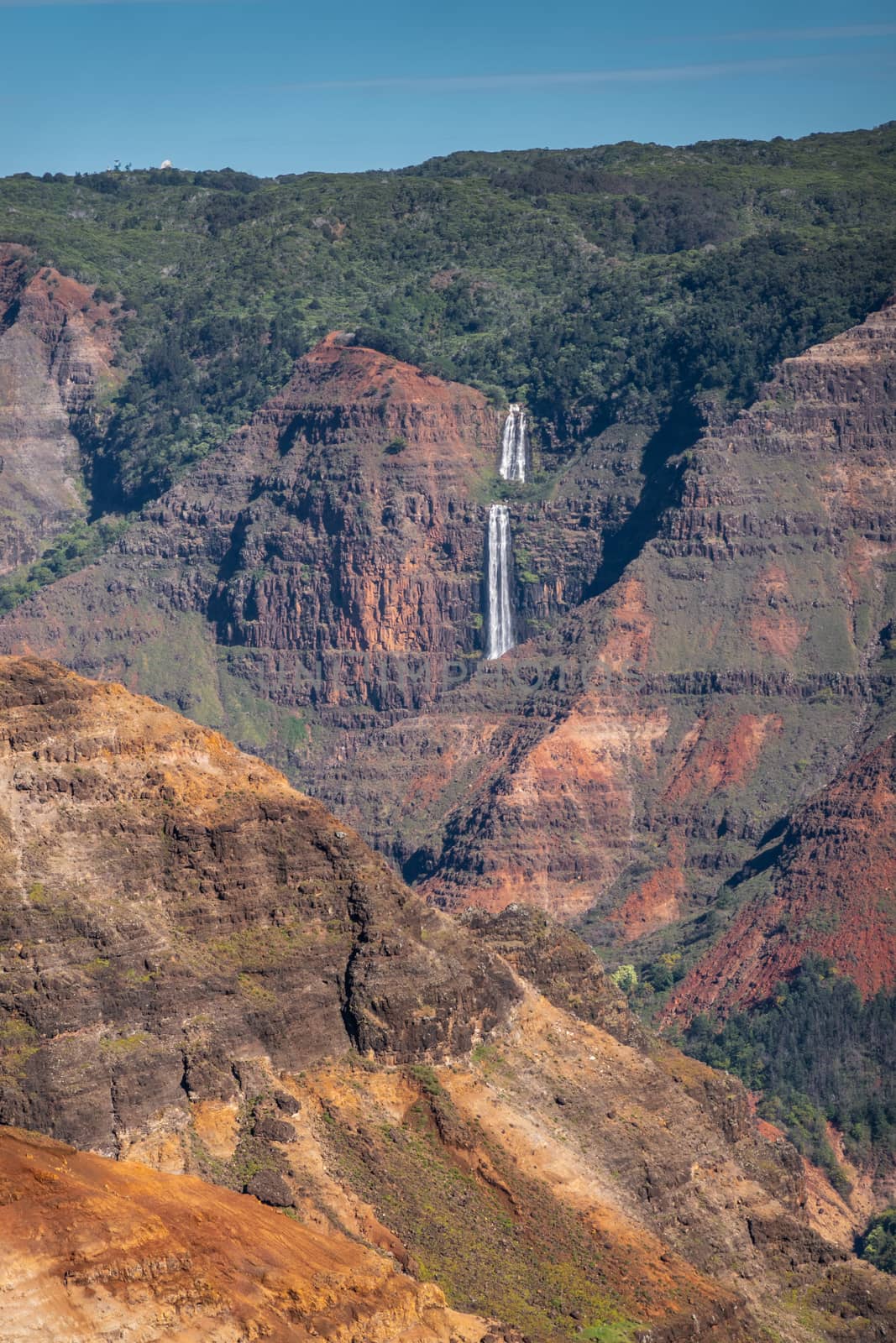 Portrait of waterfall at Waimea Canyon, Kauai, Hawaii, USA. by Claudine