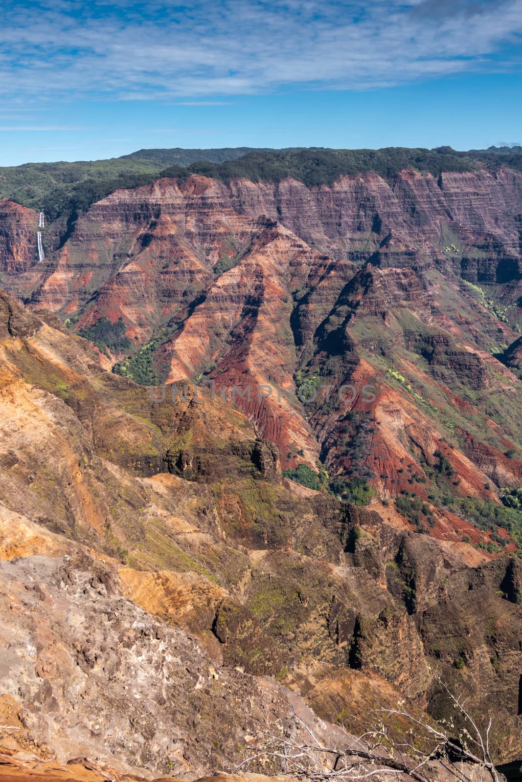 Waimea Canyon, Kauai, Hawaii, USA. - January 16, 2020: Portrait of double white waterfall in distance among red rocky side and with green tree cover on top under blue sky.