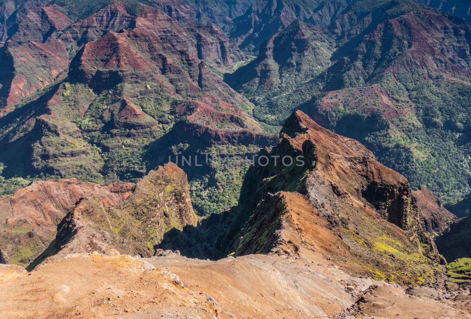 Waimea Canyon, Kauai, Hawaii, USA. - January 16, 2020: Closeup of green tree covered red peaks inside the canyon. Brown rocks up front.