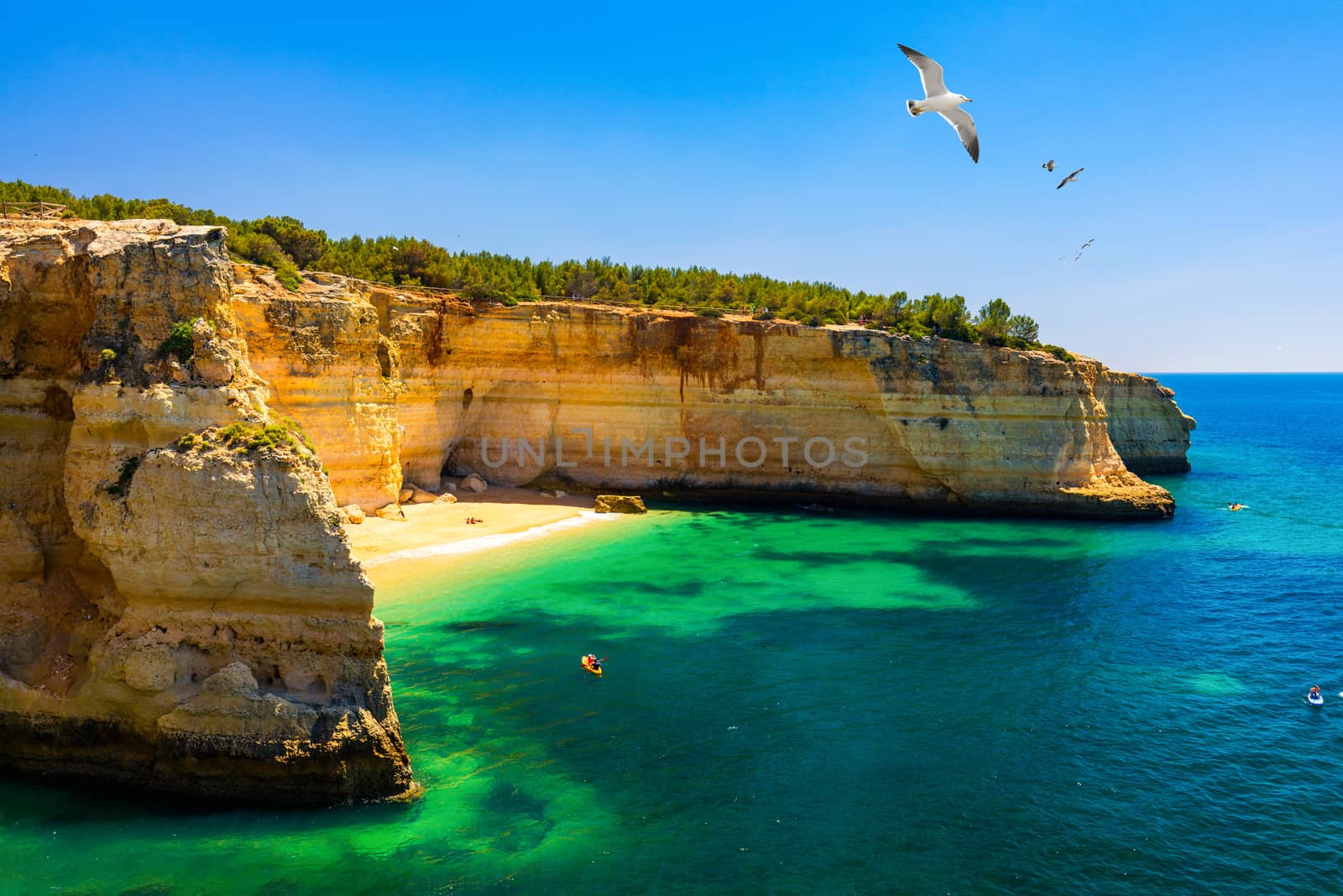 Corredoura Beach, sighted viewpoint on the trail of the Seven Suspended Valleys (Sete Vales Suspensos). Praia da Corredoura with flying seagulls near Benagil village, Algarve, Portugal.