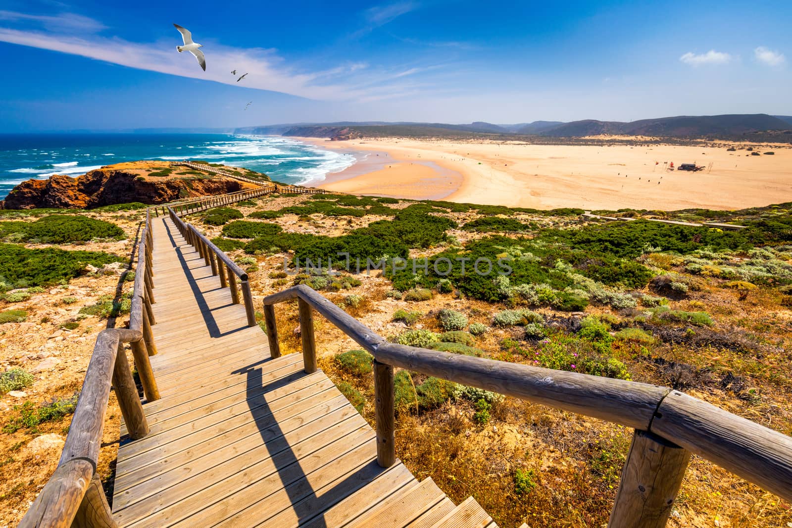 Praia da Bordeira and boardwalks forming part of the trail of tides or Pontal da Carrapateira walk in Portugal. Flying seagulls over Praia da Bordeira in portuguese. Bordeira, Algarve, Portugal.