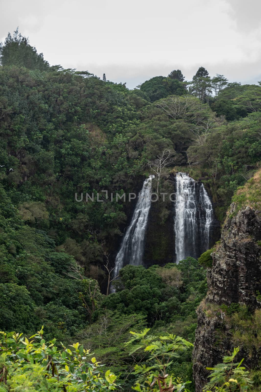 Opaekaa Falls near Nawiliwili, Kauai, Hawaii, USA. by Claudine