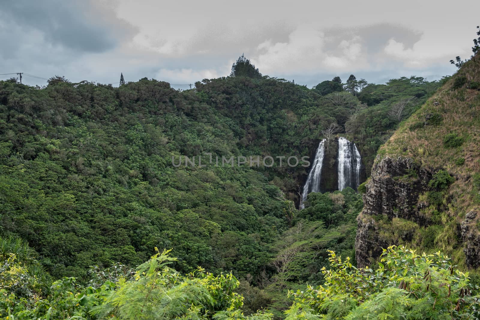 Nawiliwili, Kauai, Hawaii, USA. - January 16, 2020: White water Opaekaa Falls in wider landscape surrounded by green forest under silver sky. Brown-black rock cliffs.