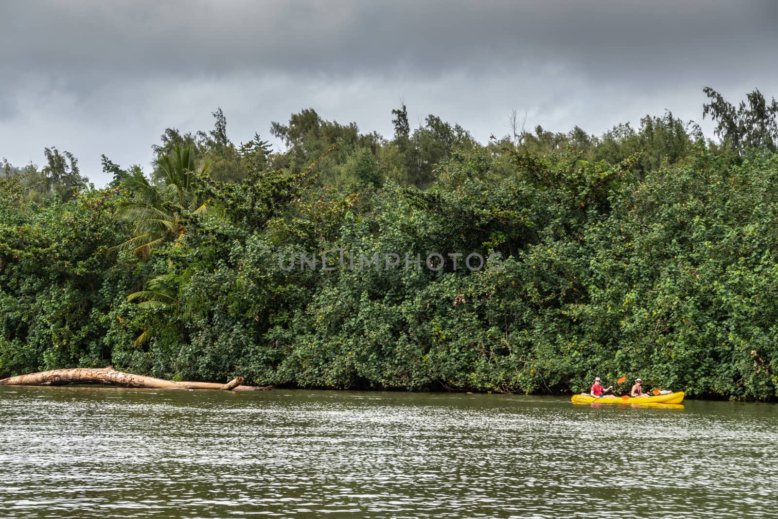 Nawiliwili, Kauai, Hawaii, USA. - January 16, 2020: Yellow Canoe with 2 people on greenish South Fork Wailua River in front of green belt of trees under gray rainy cloudscape.