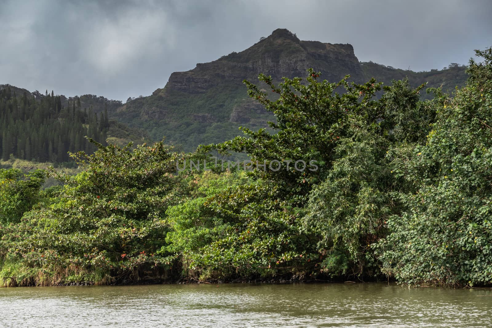 Nawiliwili, Kauai, Hawaii, USA. - January 16, 2020: Greenish South Fork Wailua River in front of green belt of trees under gray rainy cloudscape with brown rock mountain in back.
