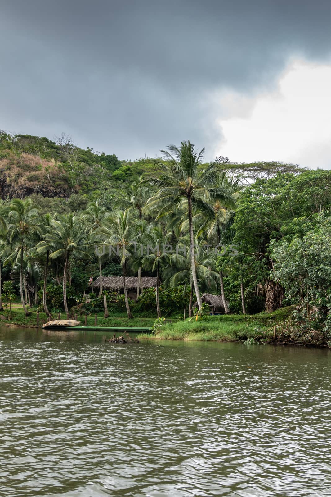 Nawiliwili, Kauai, Hawaii, USA. - January 16, 2020: Straw huts on shore of South Fork Wailua River with green palm tree shoreline under gray rainy cloudscape. 