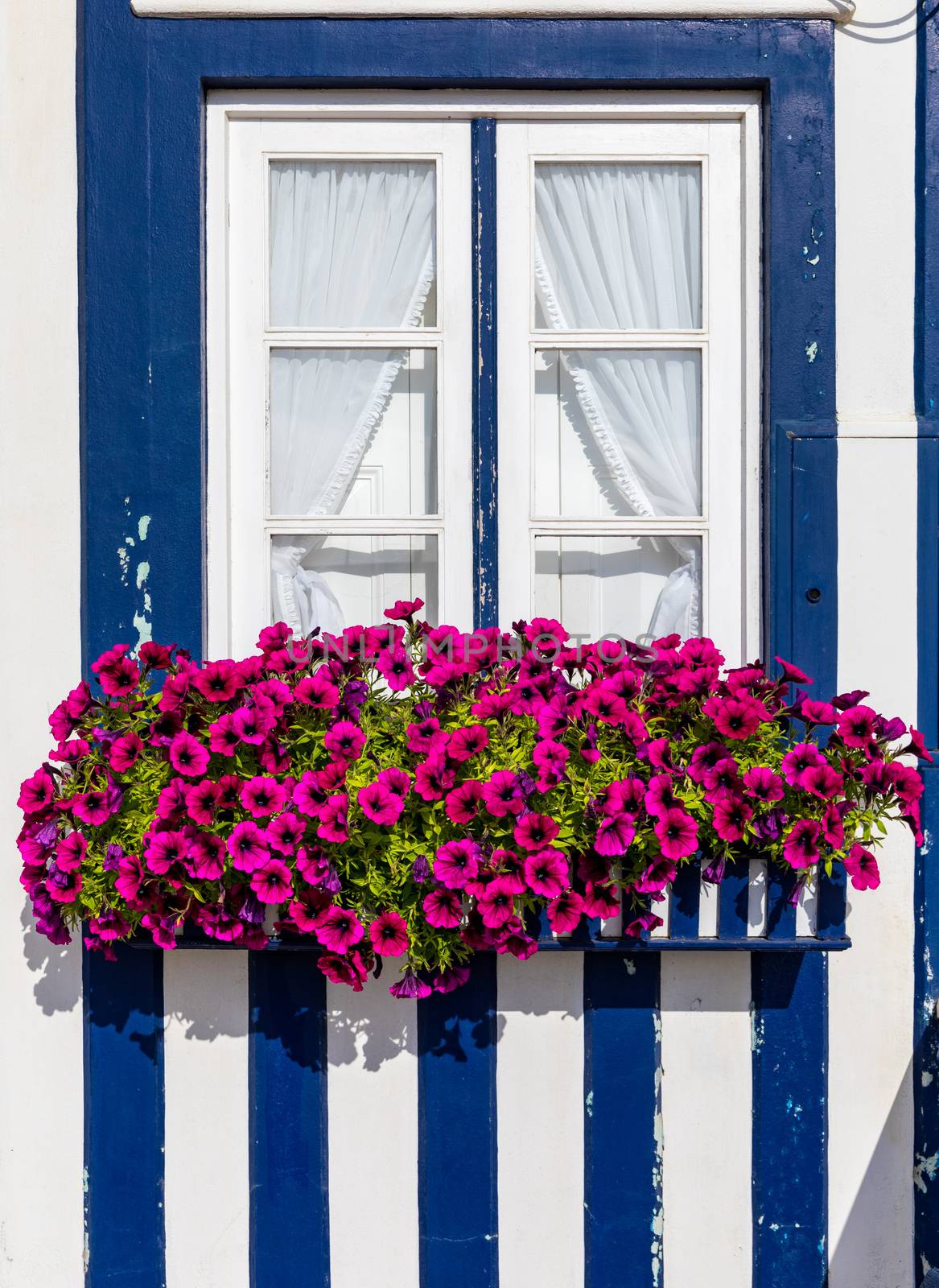 Colored Windows of "Costa Nova do Prado", Portugal. Windows in typical small wooden house with colorful stripes in Costa Nova. Aveiro. Portugal. Detail of the house in famous resort Costa Nova.