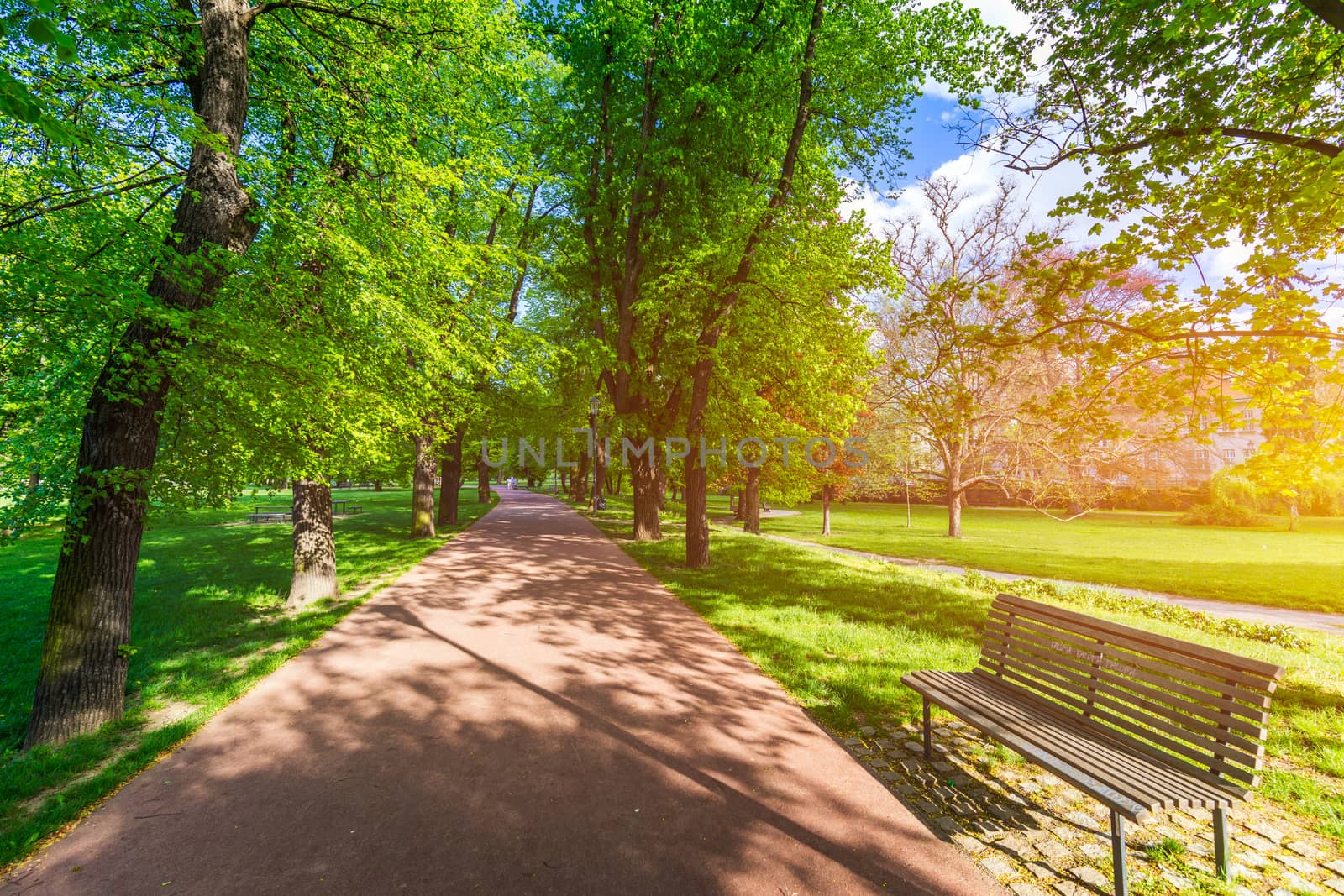 Spring view in Letna Park, Prague, Czech Republic. Spring in Prague (Praha), beautiful Letna park (Letenske sady) in sunlight, sunny landscape, popular tourist destination, Prague, Czech Republic