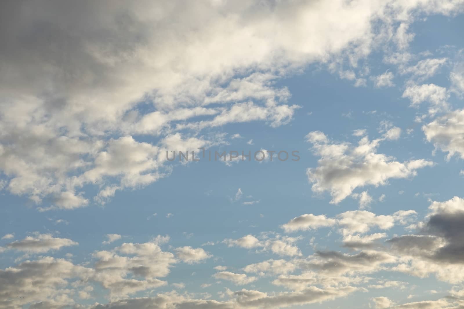 A group of clouds in the sky. High quality photo