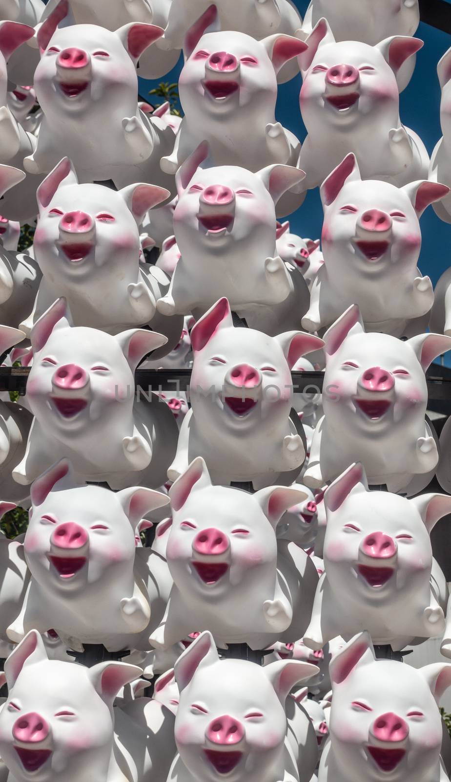 Sydney, Australia - February 9, 2019: Closeup of large display of 15 laughing pig dolls at First Fleet Park downtown to celebrate Chinese Year of the Pig. White skin with pink features such as nose, mouth, eyes.