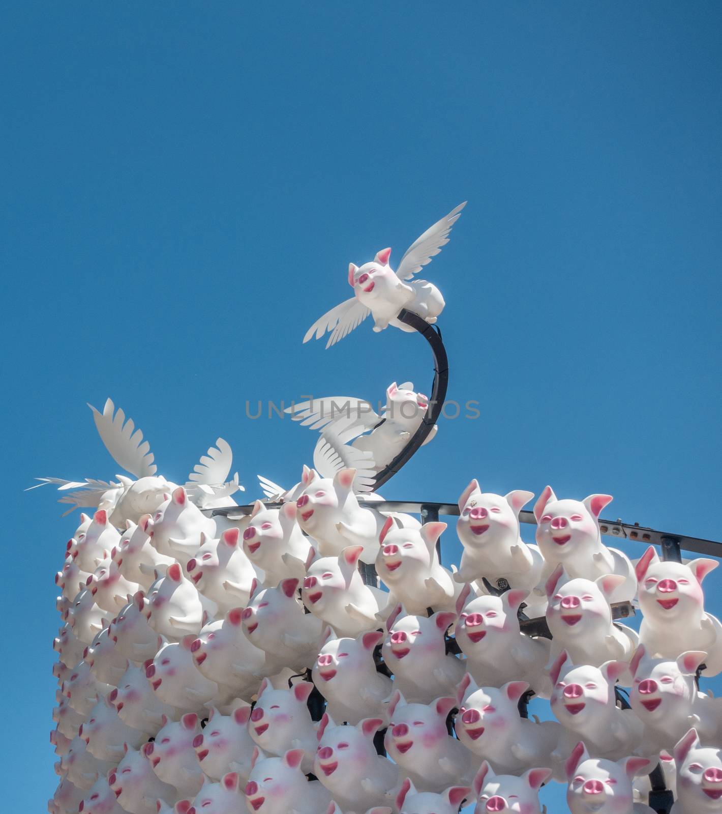 Sydney, Australia - February 9, 2019: Closeup of large display of many laughing pig dolls at First Fleet Park downtown to celebrate Chinese Year of the Pig. White skin with pink features, Blue sky.