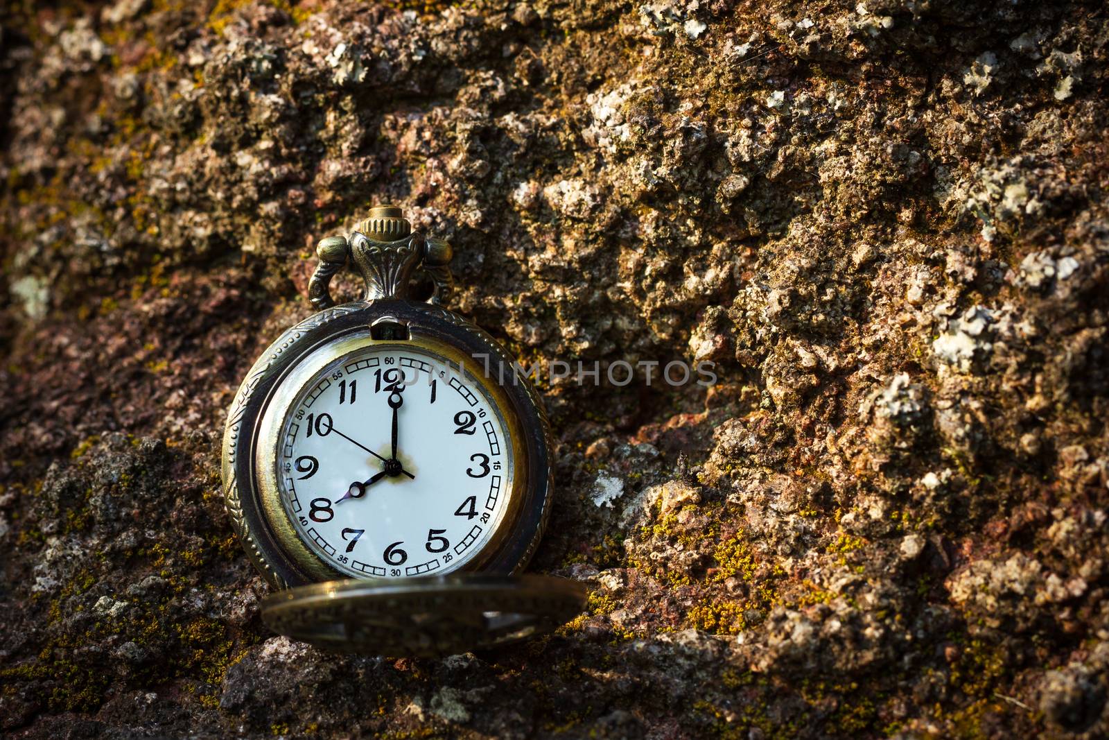 Vintage old pocket watch placed on the rock in forest. by SaitanSainam