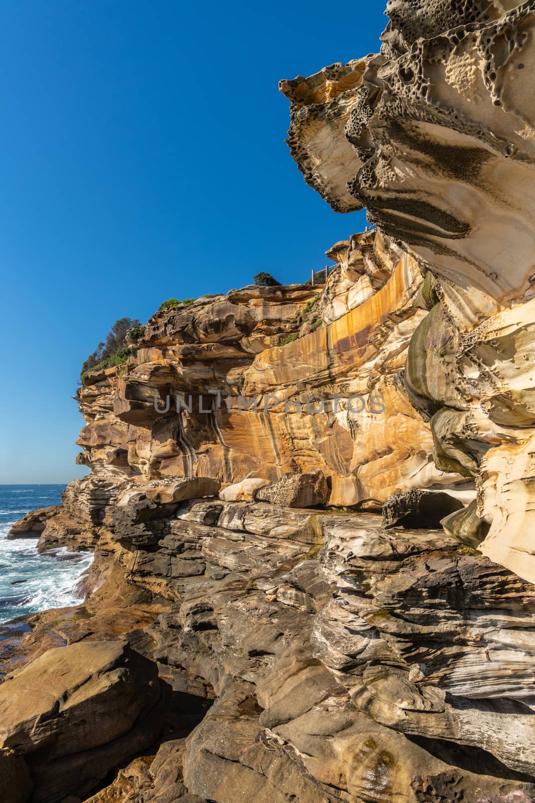 Sydney, Australia - February 11, 2019: Spectacular rock outcrop at Bronte Beach South cliffs, made by erosion.. Yellows and browns under blue sky. Sponge-like borders of shell like plates sticking out.