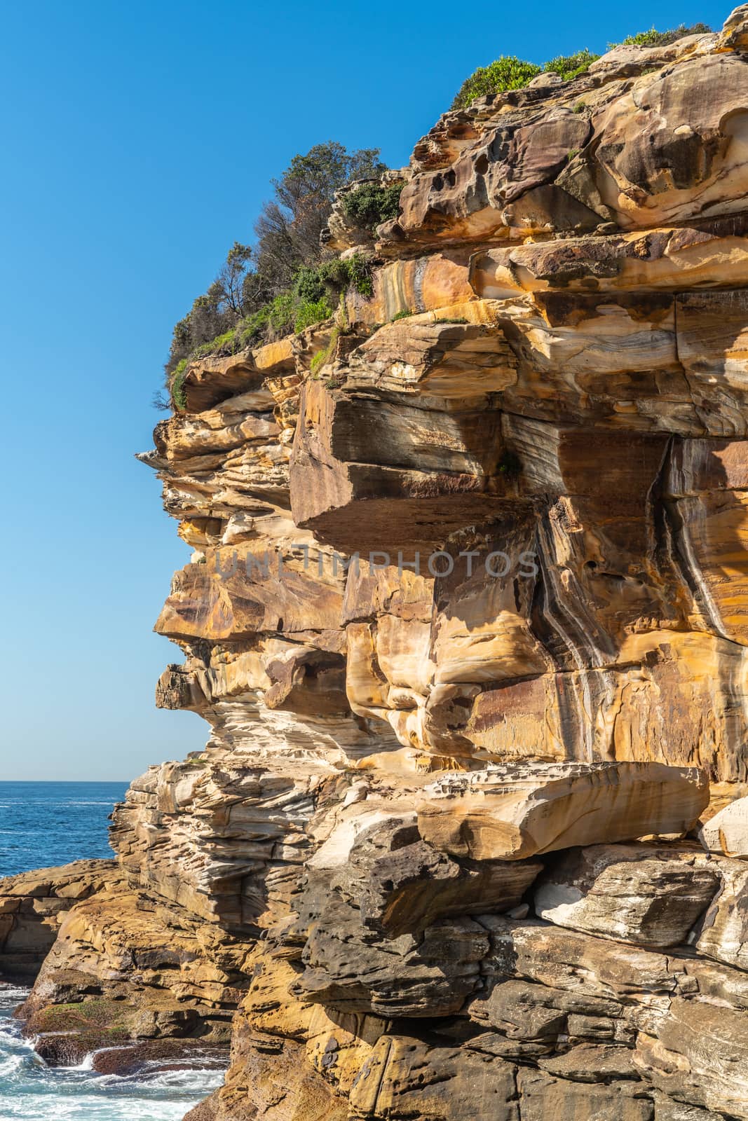 Sydney, Australia - February 11, 2019: Closeup of Spectacular rock outcrop at Bronte Beach South cliffs, made by erosion.. Yellows and browns under blue sky. Sponge-like borders of shell like plates sticking out.
