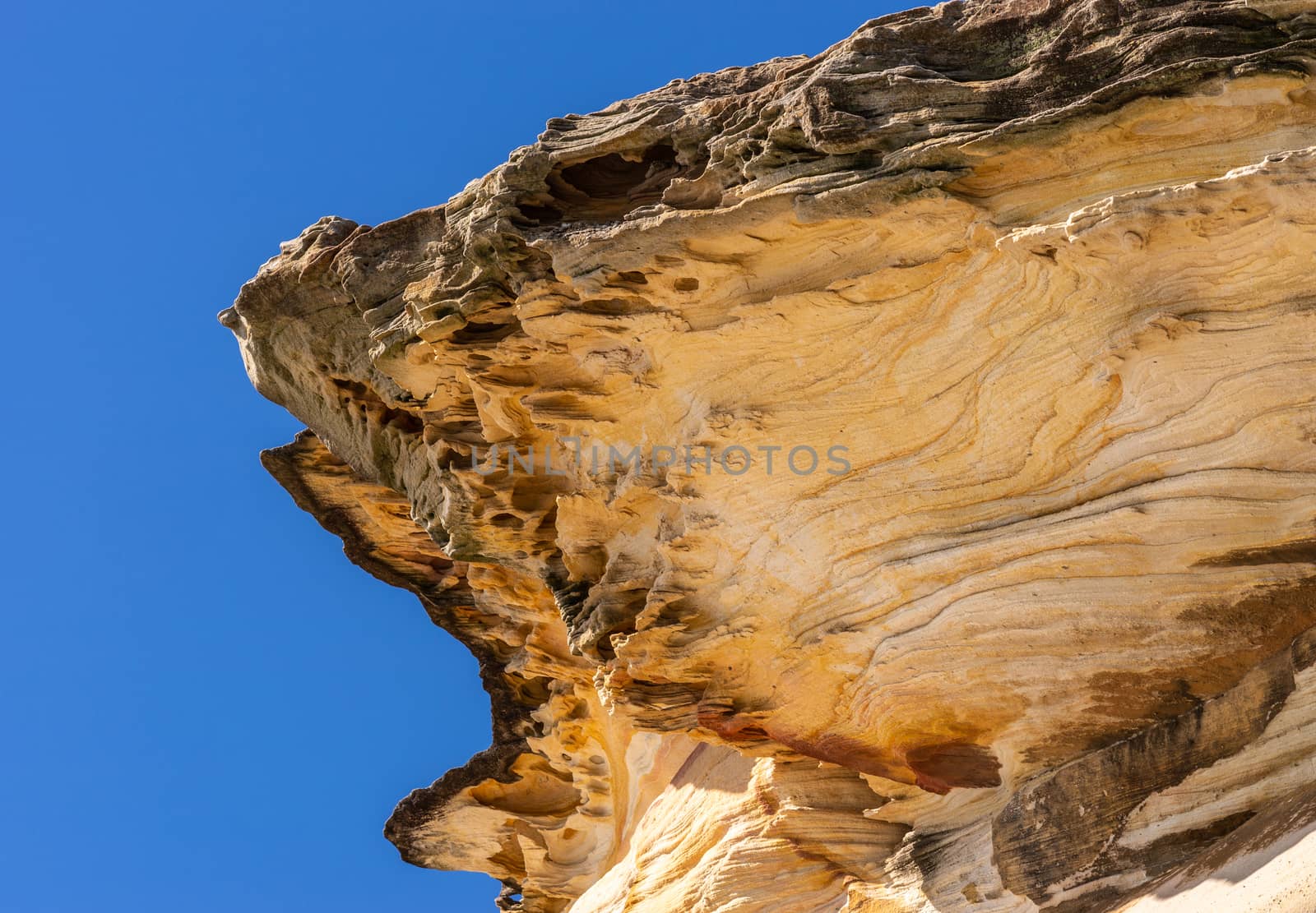 Sydney, Australia - February 11, 2019: Closeup of Oyster Shell like rock formation made by erosion on South shore cliffs overlooking Bronte Beach under blue sky. Dominant yellows and browns.