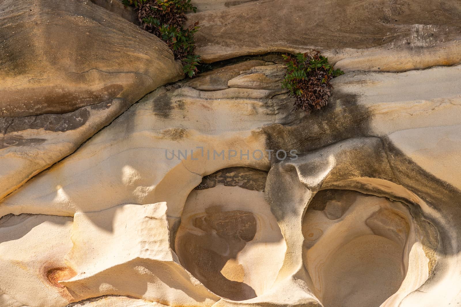 Sydney, Australia - February 11, 2019: Closeup of bucket like rock formation made by erosion on South shore cliffs overlooking Bronte Beach. Dominant yellows and browns.