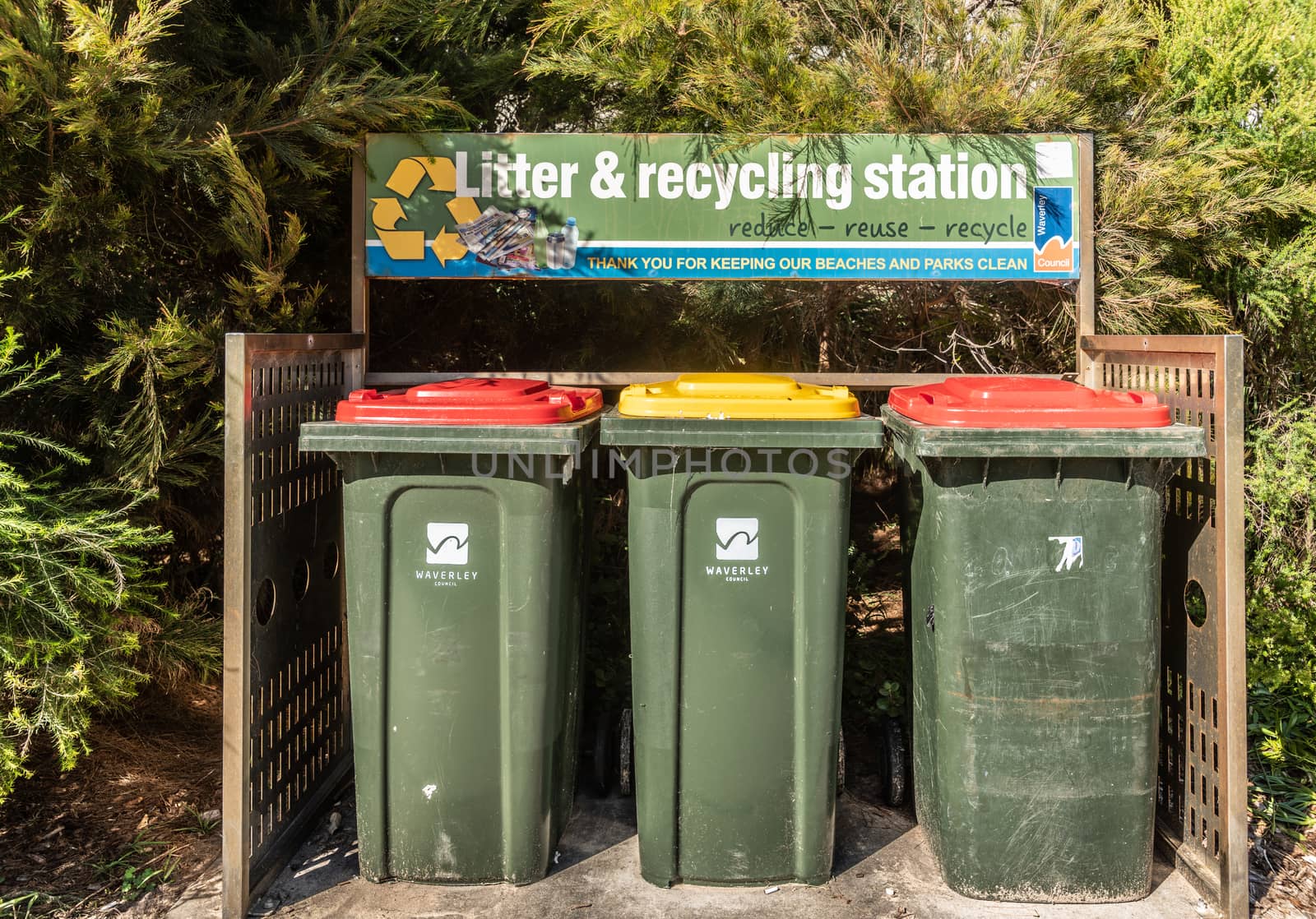 Litter and Recycling station on Tamarama Beach, Sydney Australia by Claudine
