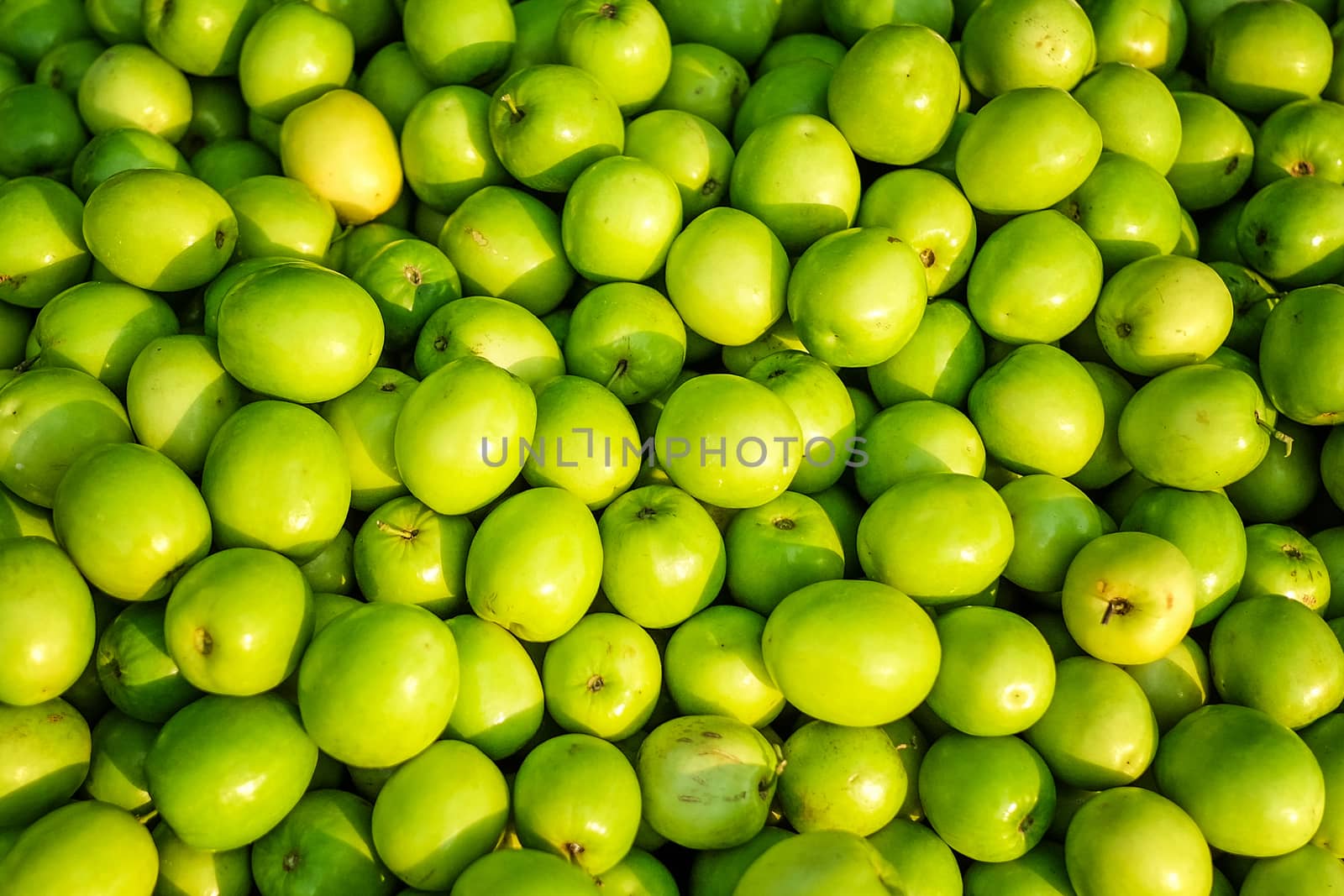 Jujube, Indian jujube, Chinese date, monkey apple, green balls p by Surasak