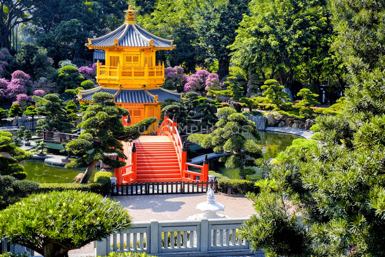 Front View The Golden Pavilion Temple in Nan Lian Garden by Surasak