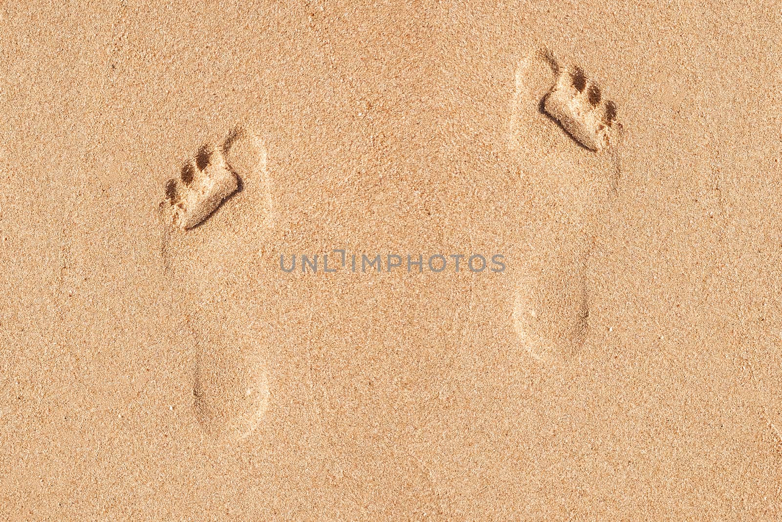 Foot print in the Sand