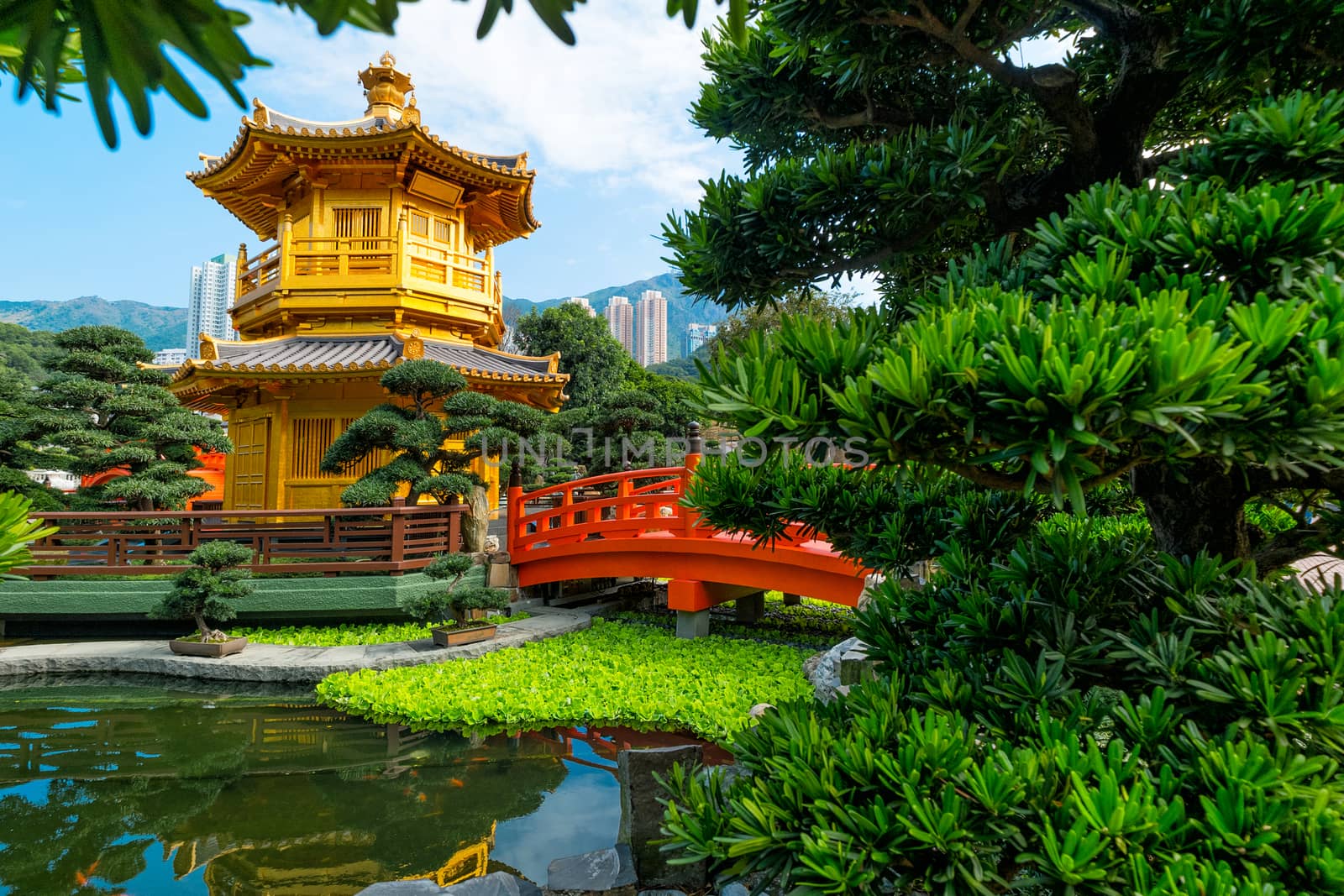 Front View The Golden Pavilion Temple in Nan Lian Garden by Surasak