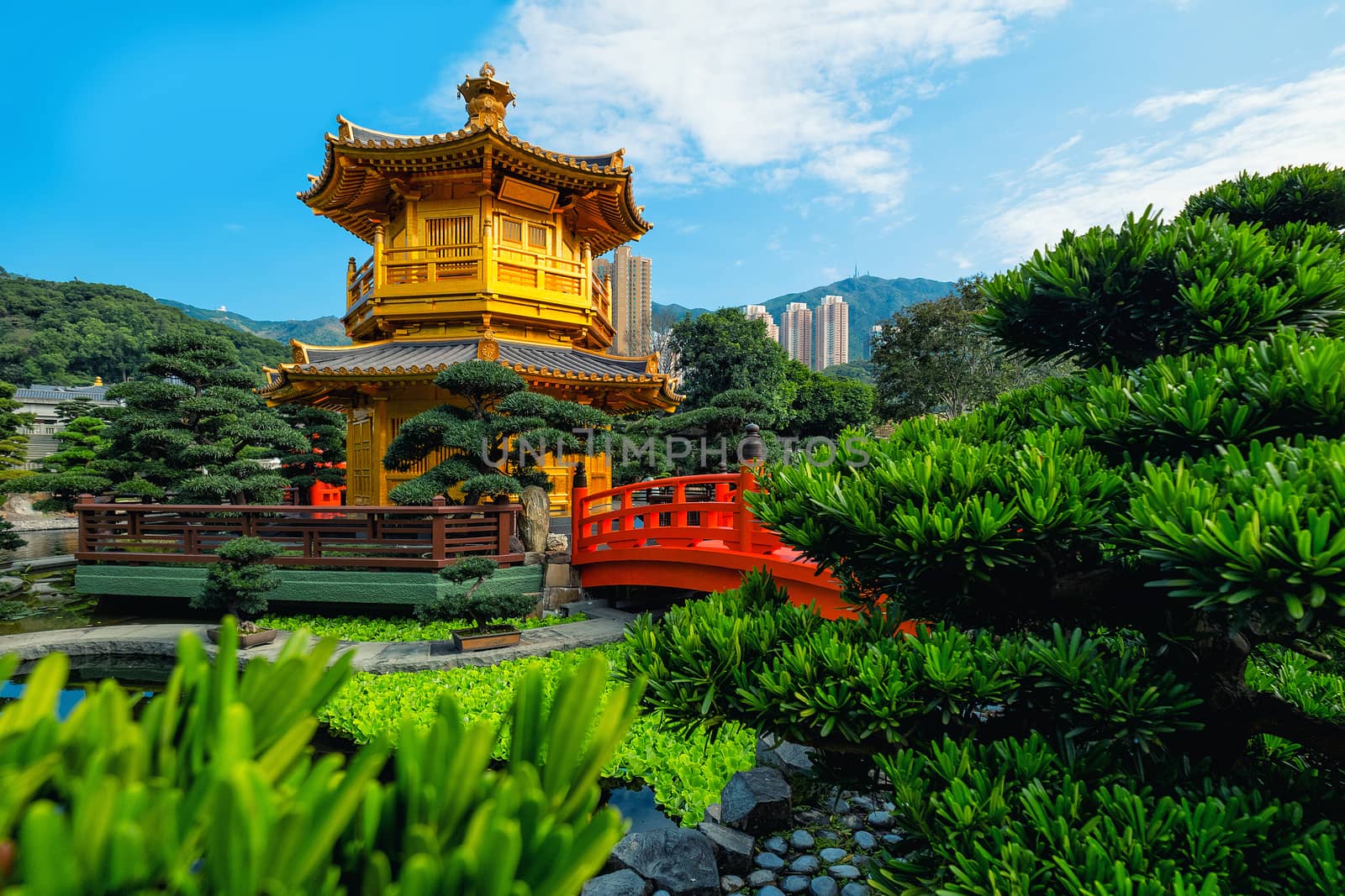 View of The Golden Pavilion Temple in Nan Lian Garden by Surasak