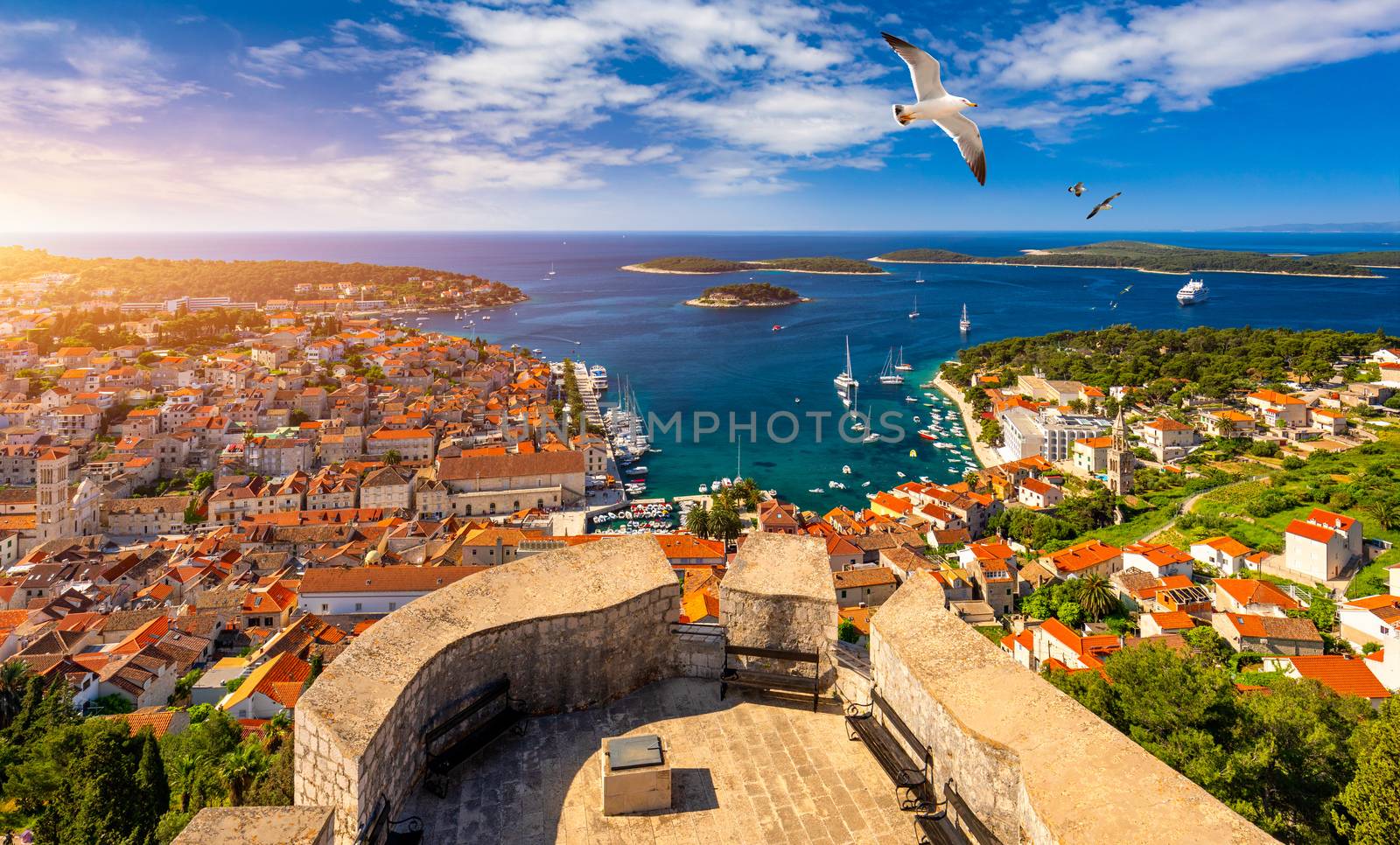 Hvar town with seagull's flying over city, famous luxury travel destination in Croatia. Boats on Hvar island, one of the many Islands near Dubrovnik and Korcula on the Dalmatian Coast of Croatia.