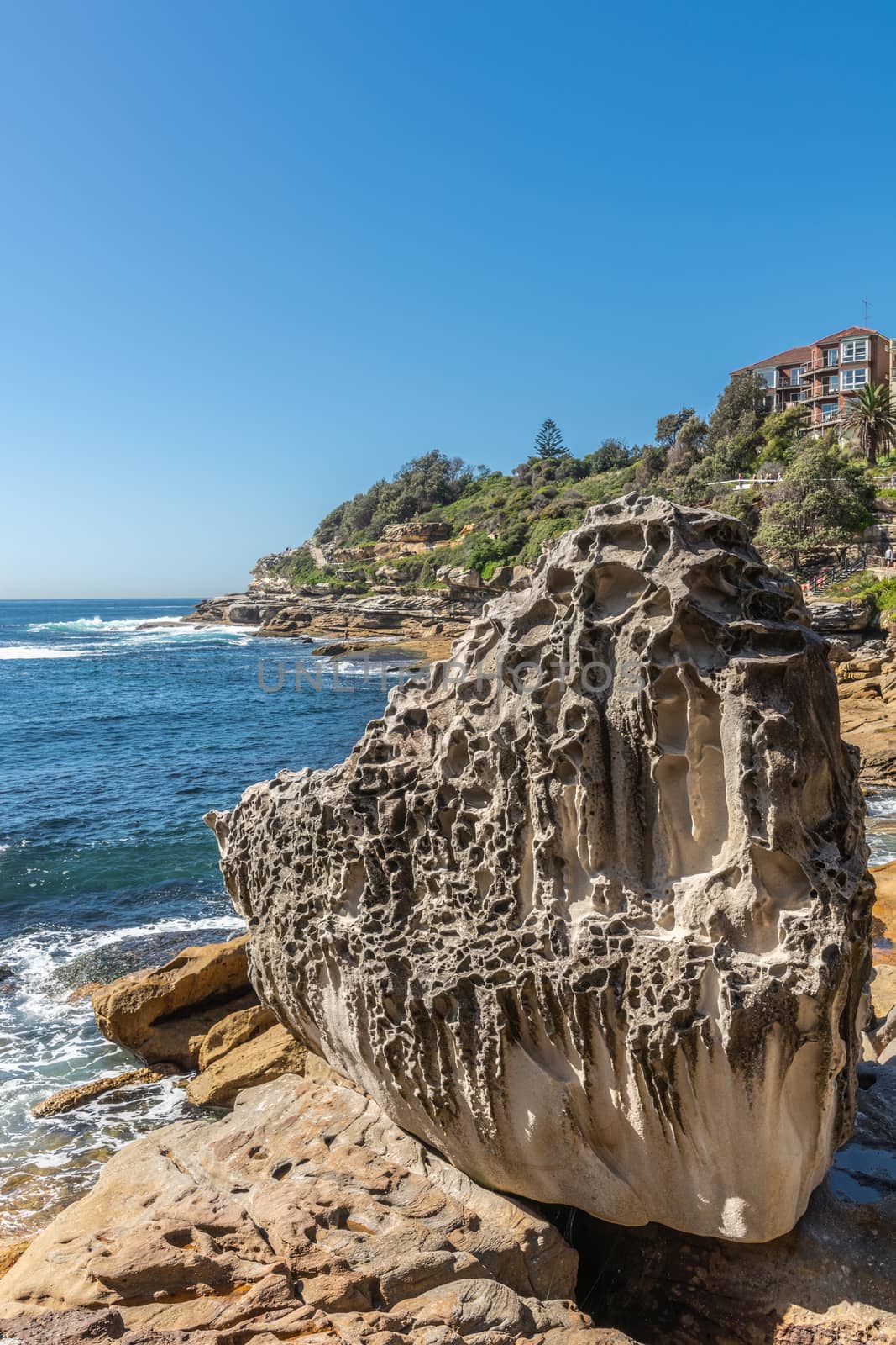 Rock near Hunter Park on South shore of Bondi Beach, Sydney Aust by Claudine
