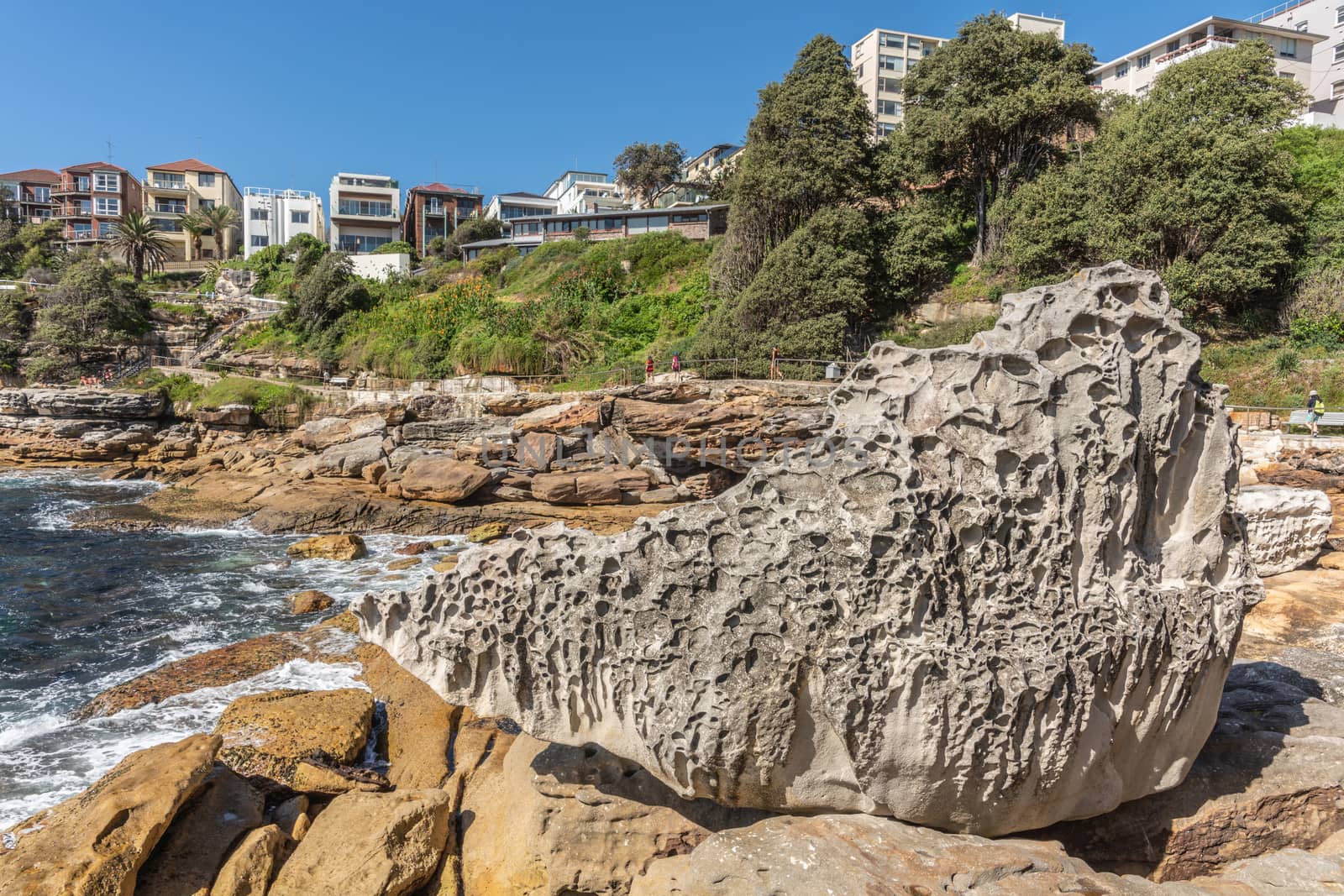 Sydney, Australia - February 11, 2019: Gray sponge-like rock formation off Hunter Park on South shore of Bondi beach. Blue sky and water. Crashing waves. Housing on top of cliff.