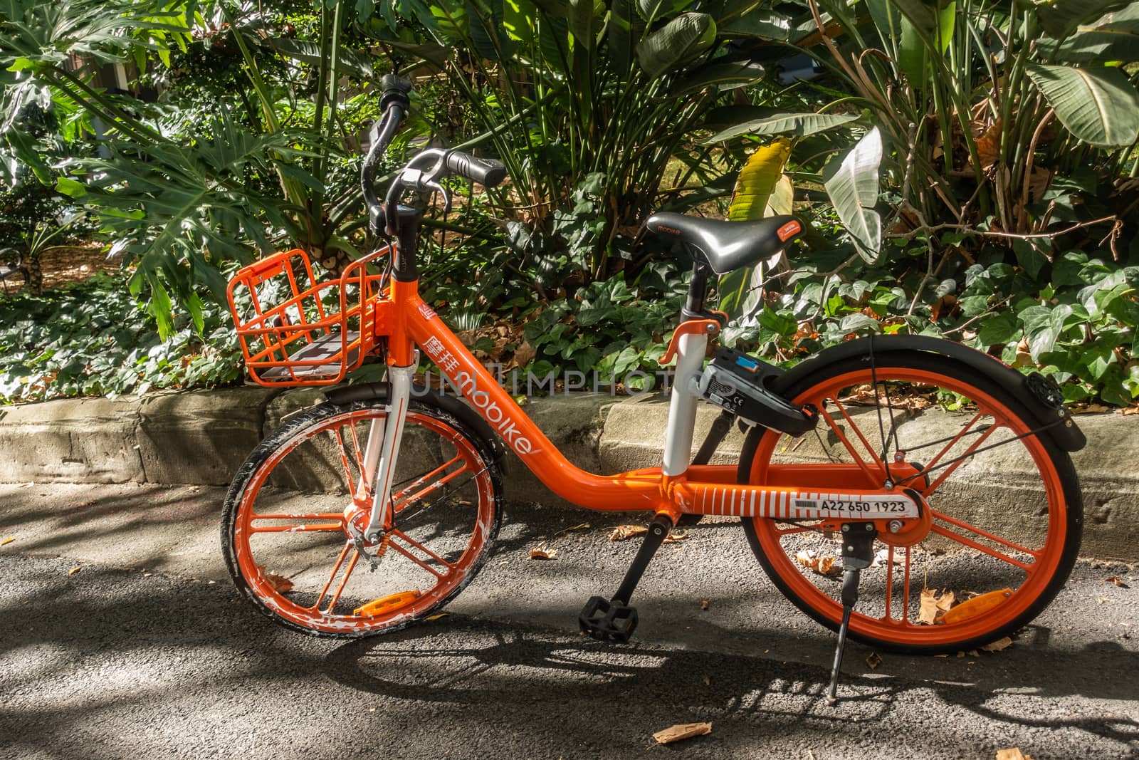 MOBIKE for rent parked at Lang Park, Sydney Australia. by Claudine
