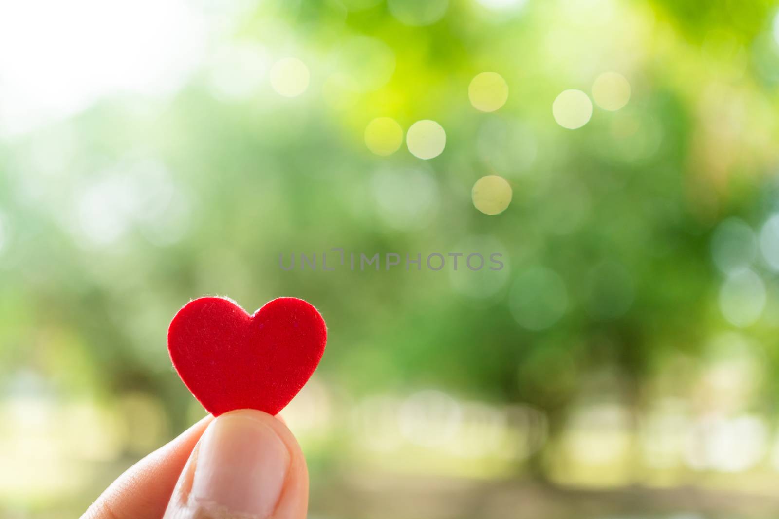 Hand hold little heart meaning feel love with green nature bokeh. by Suwant