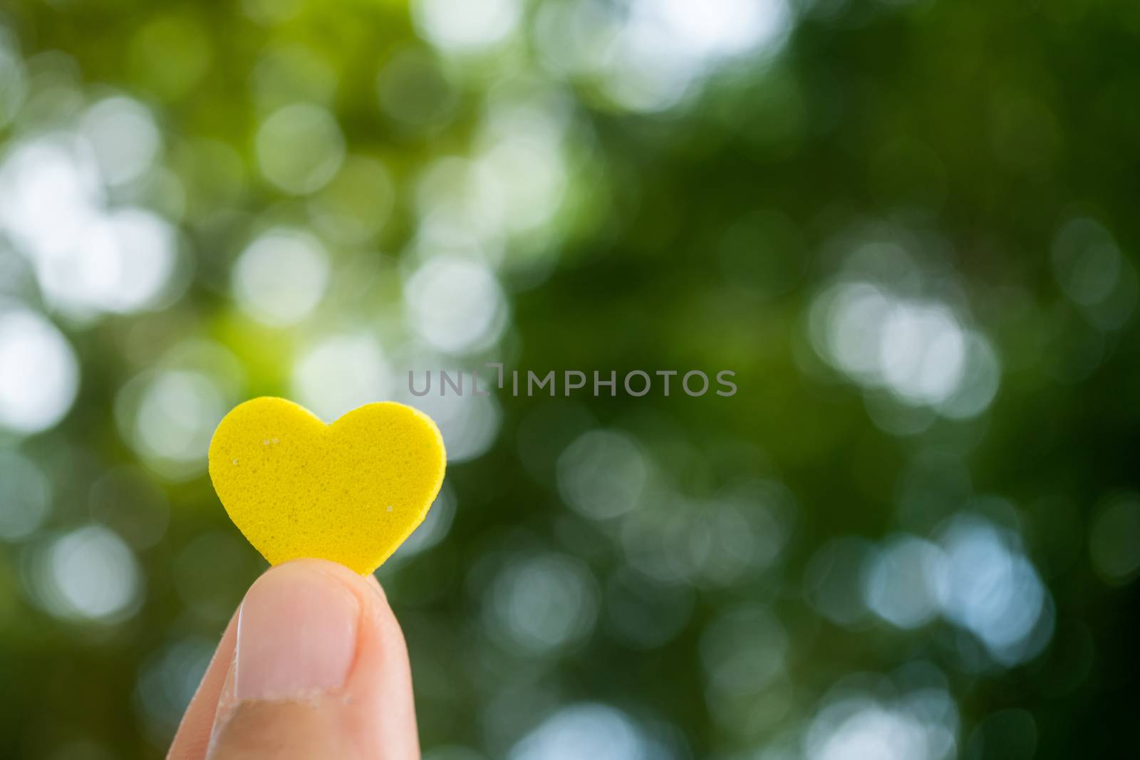 Hand hold little heart meaning feel love with green nature bokeh. by Suwant