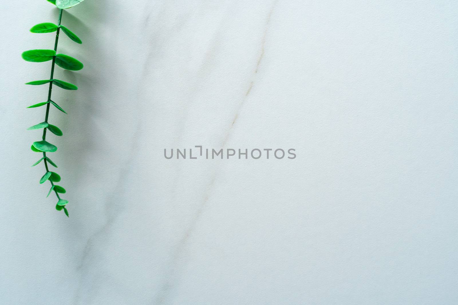 Top view of white tone marble texture abstract background with green natural leaf as frame decoration.Top view of white tone marble texture abstract background with green natural leaf as frame. by Suwant