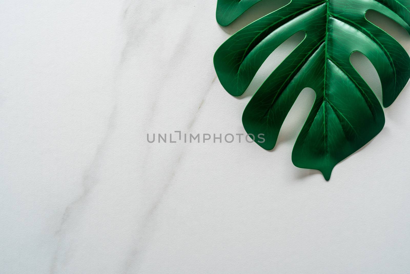 Top view of white tone marble texture abstract background with green natural leaf as frame decoration.