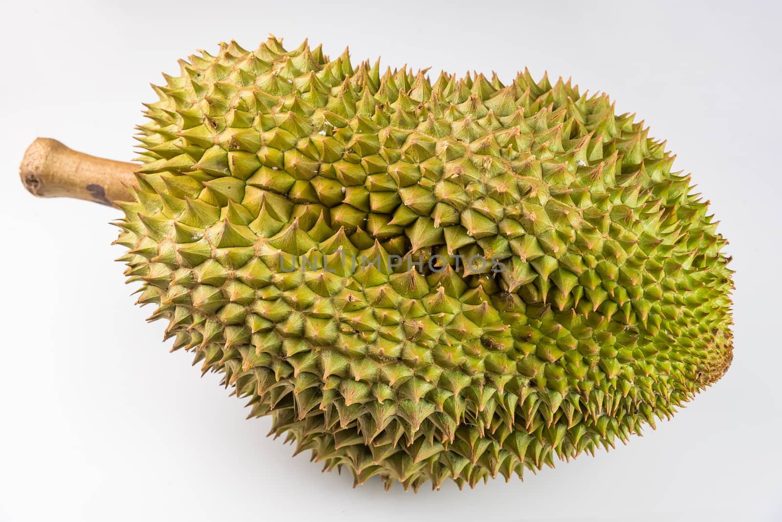 Durian fruit ripe pillars are not peeled isolated on white backg by Bubbers
