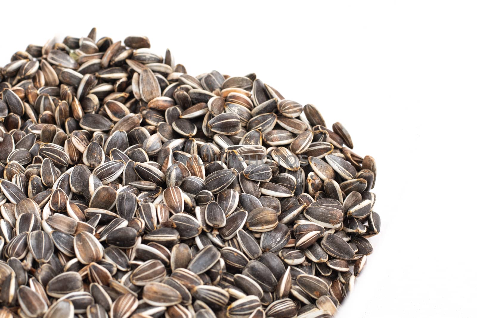 sunflower seed in heap on white background in studio