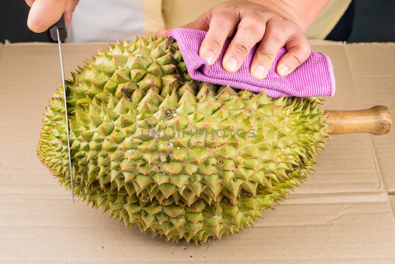 Woman cutting a Durian fruit on the wooden table by using a knife close up. Durian is the one of popular fruit in Thailand.