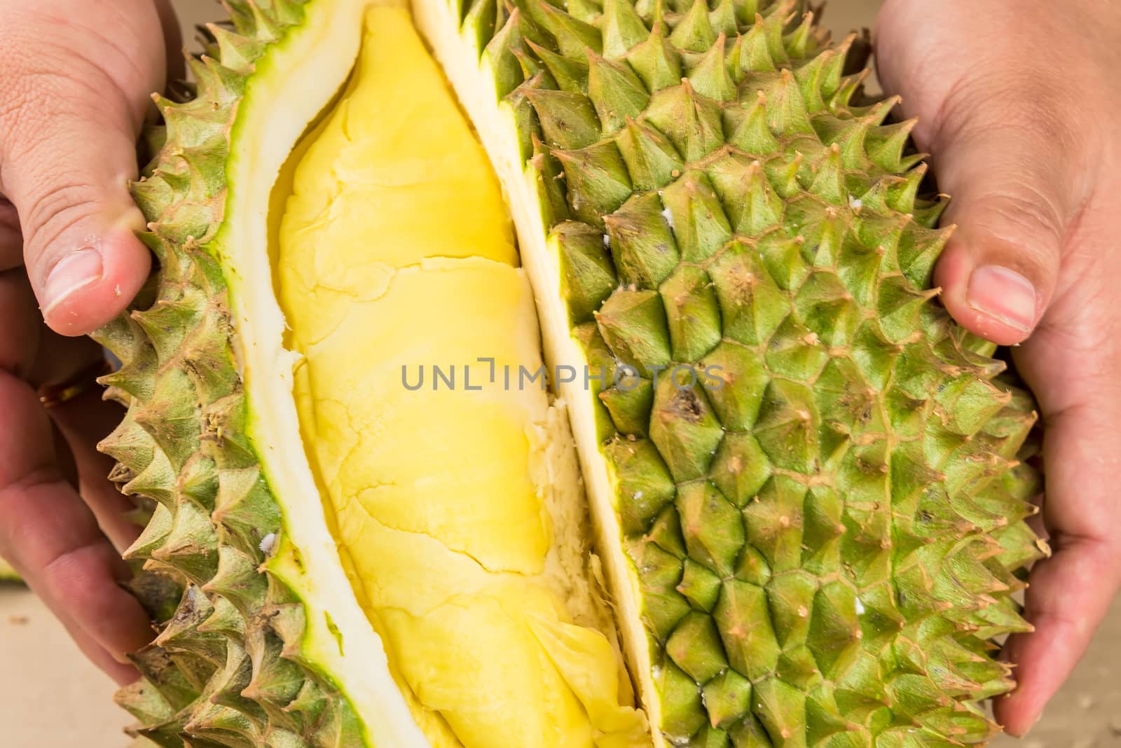 Durian mon thong is king of fruits durian and durian peeled frui by Bubbers