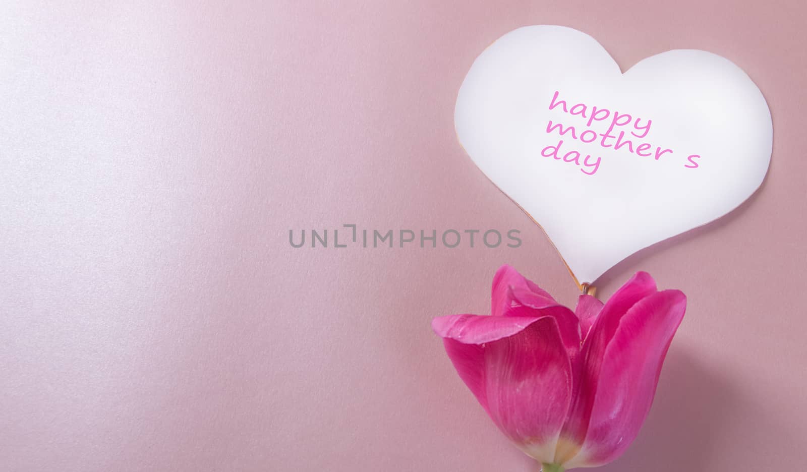 Mother's day greeting card, white paper heart and one pink Tulip on a soft pink background. Social charity event.