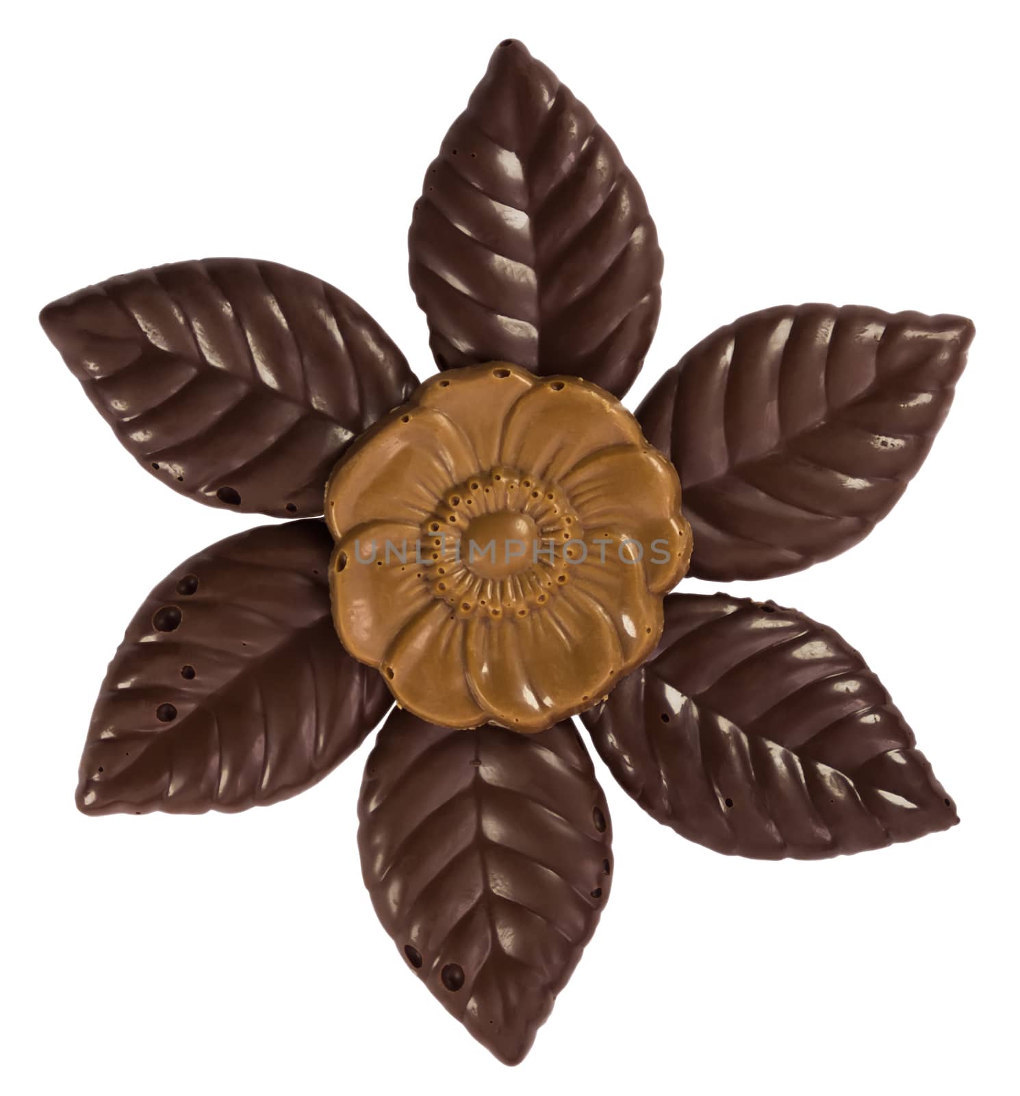 Chocolate flower isolated by Venakr