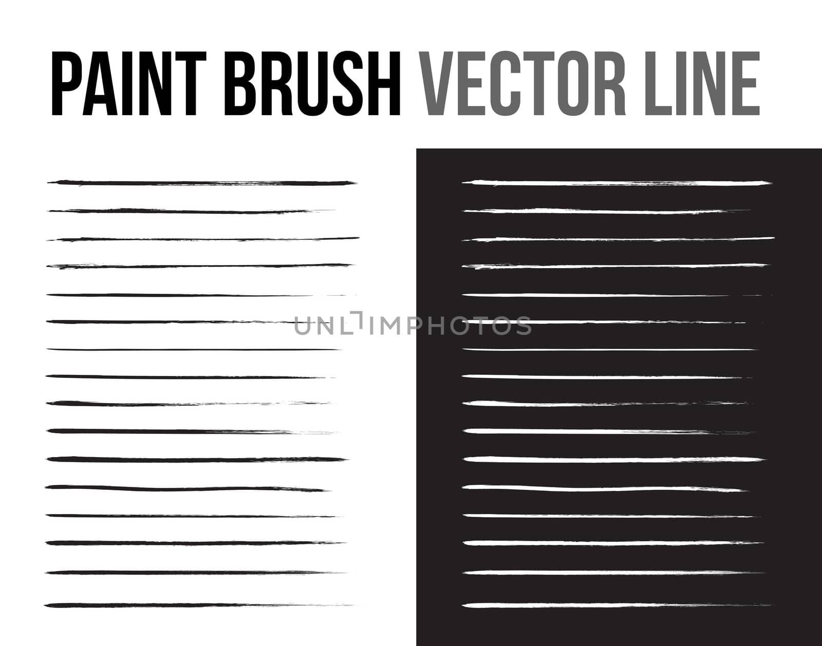The paint brush handdrawn vector line set  by cougarsan